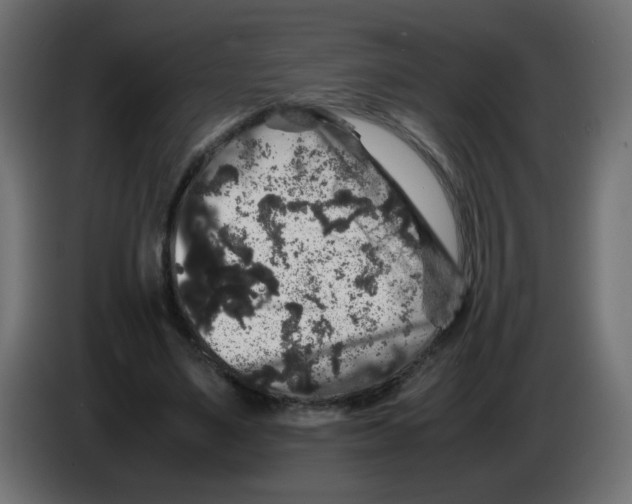 X0000082970491200703020237