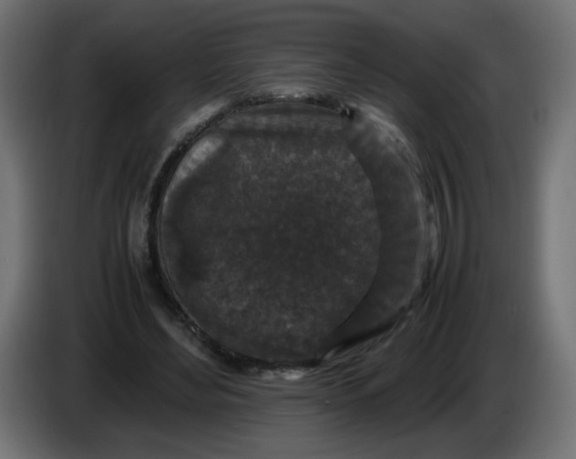X0000082970492200703020237