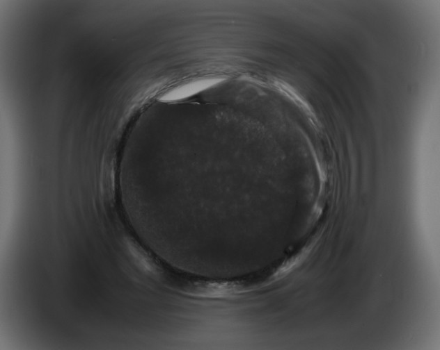X0000082970493200703020237