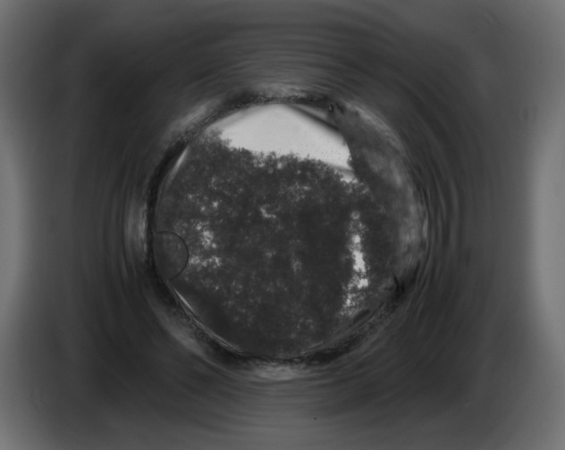 X0000082970494200703020237