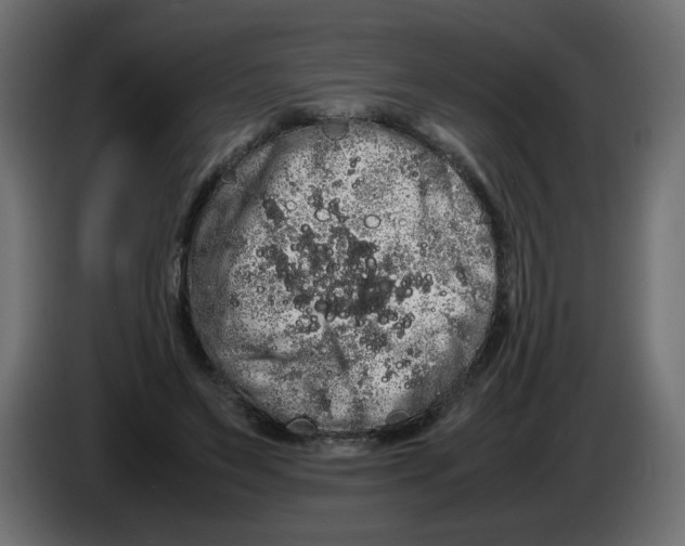 X0000082970495200703020237