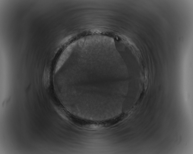 X0000082970496200703020237