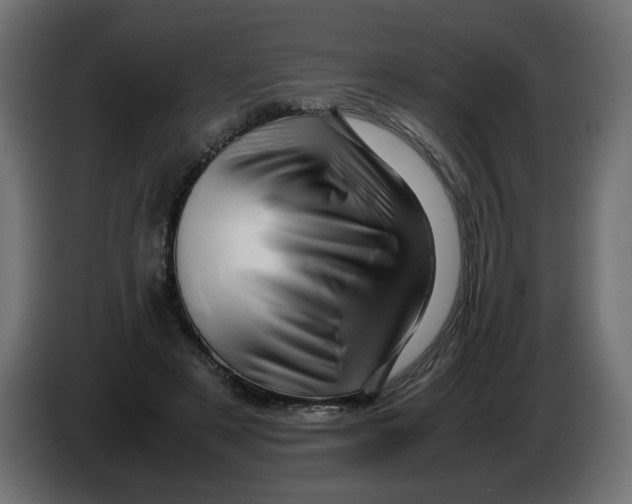 X0000082970497200703020237