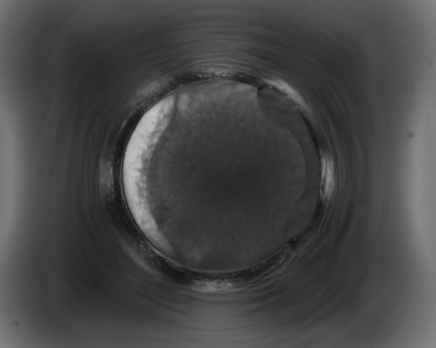 X0000082970500200703020237