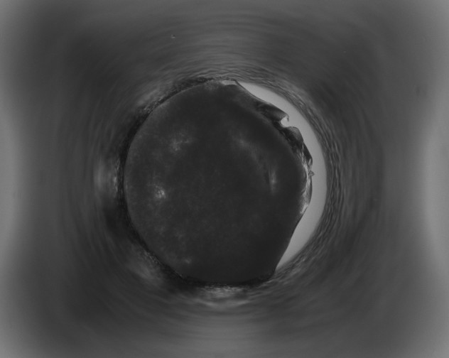 X0000082970501200703020237