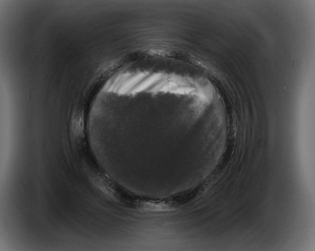 X0000082970502200703020237