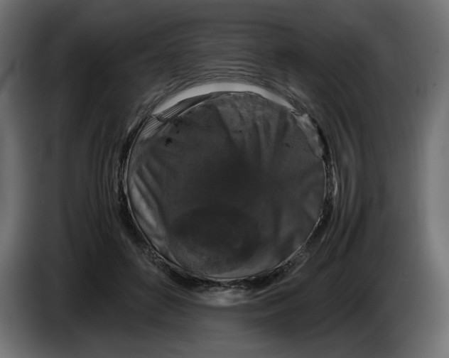 X0000082970504200703020237