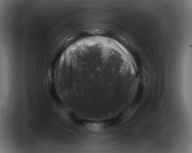 X0000082970506200703020237