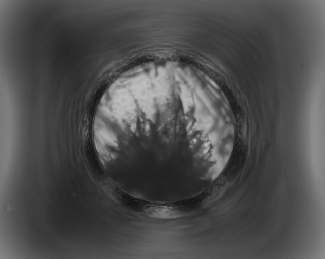 X0000082970507200703020237