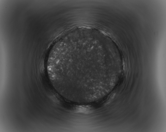 X0000082970508200703020237