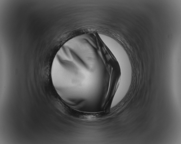 X0000082970509200703020237