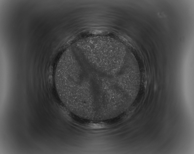 X0000082970510200703020237