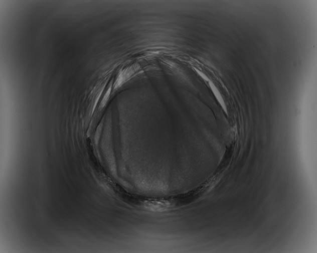 X0000082970512200703020237