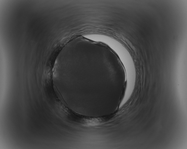 X0000082970513200703020237