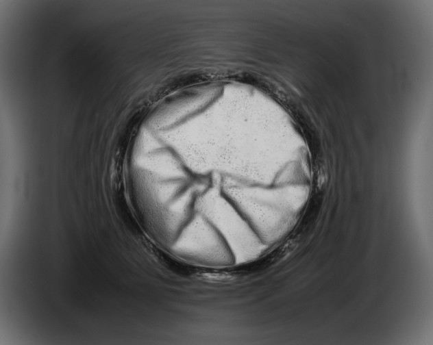 X0000082970515200703020237