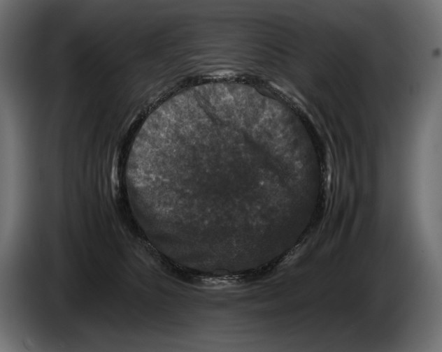 X0000082970516200703020237