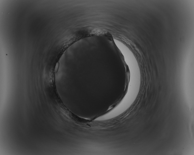 X0000082970517200703020237