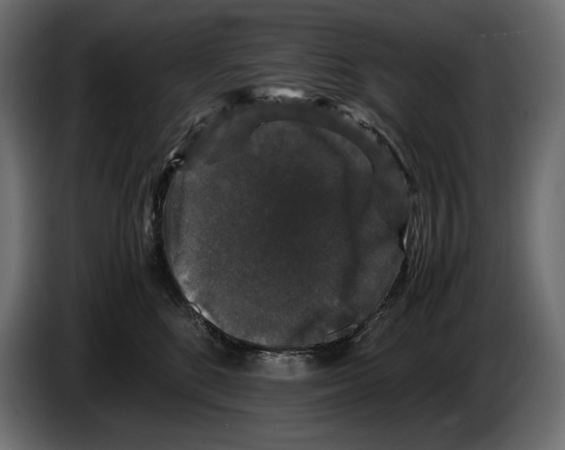 X0000082970520200703020237