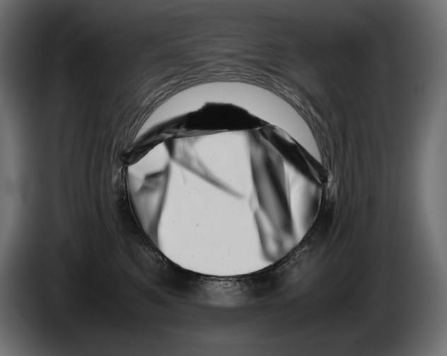 X0000082970521200703020237