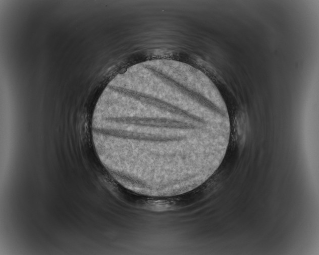 X0000082970522200703020237
