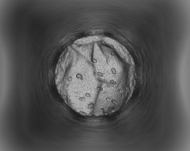 X0000082970523200703020237