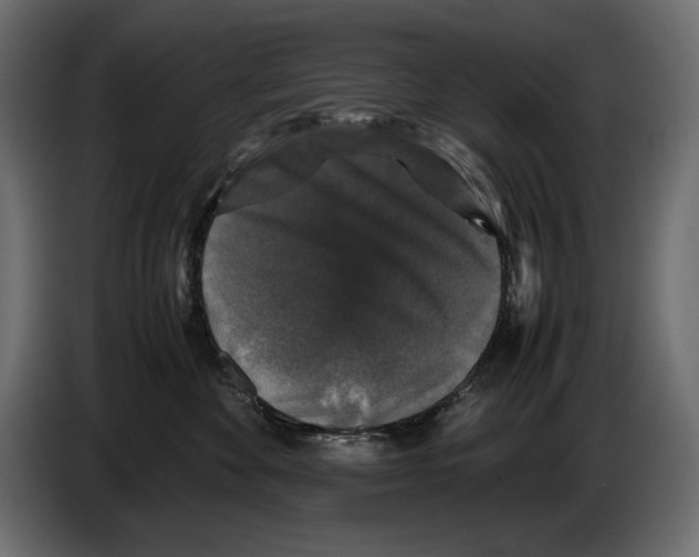 X0000082970524200703020237