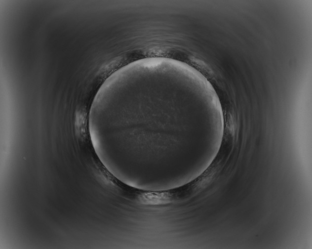 X0000082970526200703020237