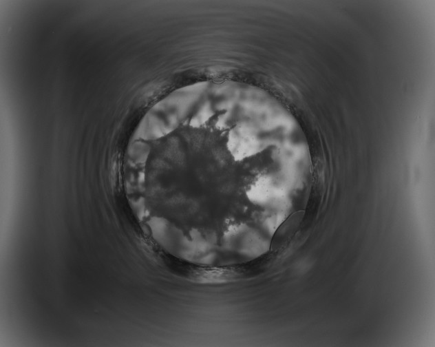 X0000082970527200703020237