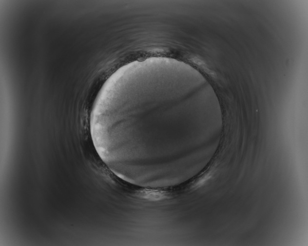 X0000082970528200703020237