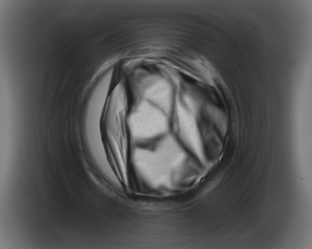 X0000082970530200703020236