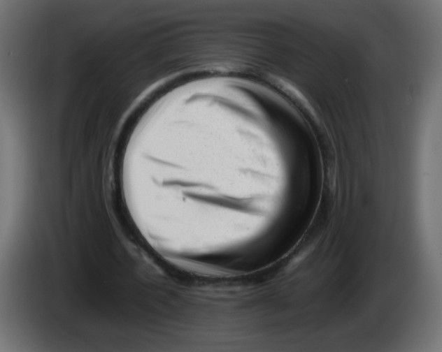 X0000082970532200703020236