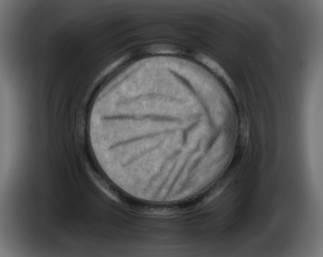 X0000082970533200703020236