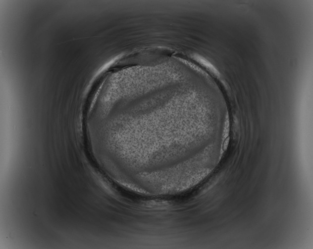X0000082970535200703020236