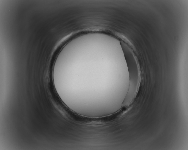 X0000082970536200703020236
