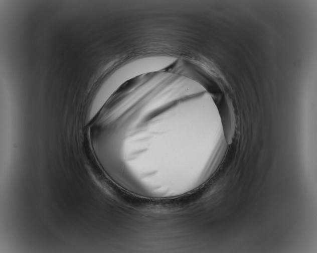 X0000082970538200703020236
