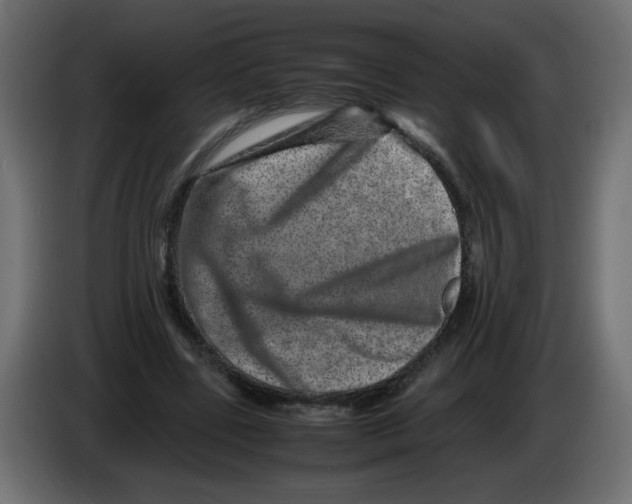 X0000082970539200703020236