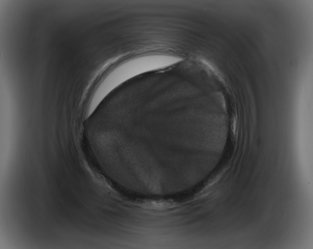 X0000082970540200703020236