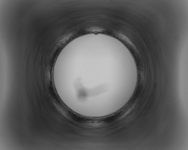 X0000082970541200703020236