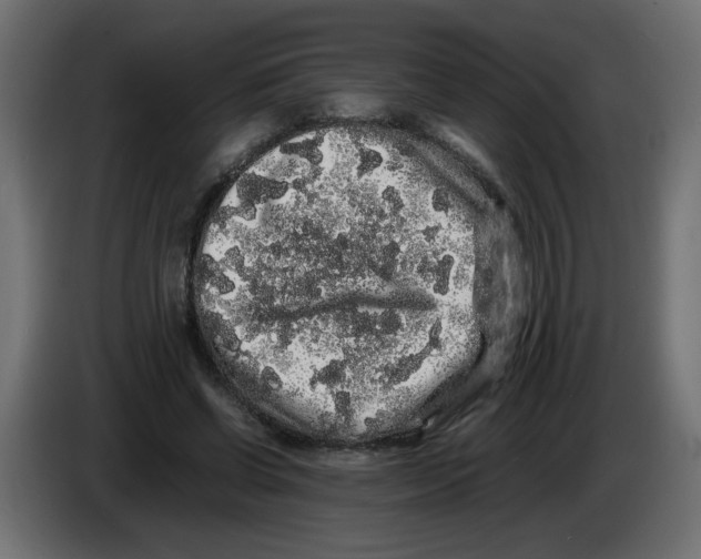 X0000082970542200703020236