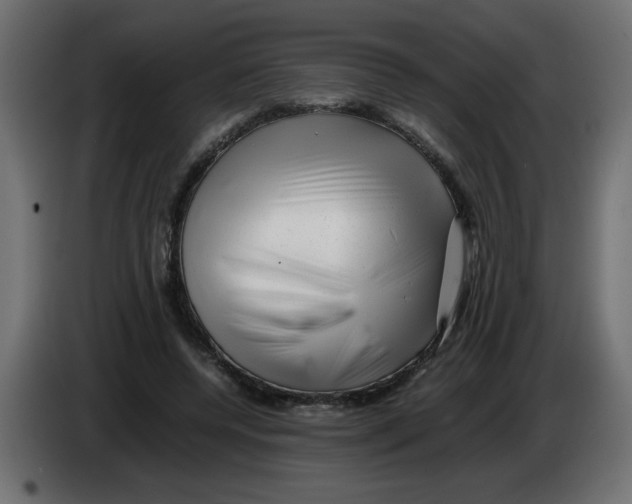 X0000082970544200703020236