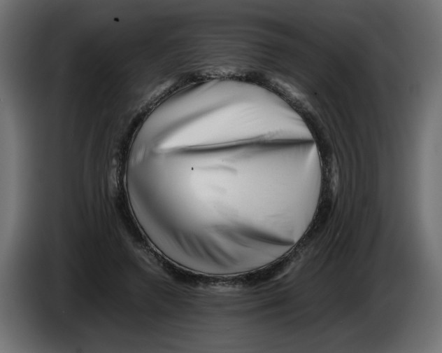 X0000082970546200703020236