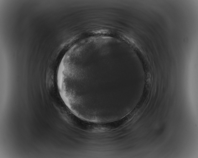 X0000082970547200703020236