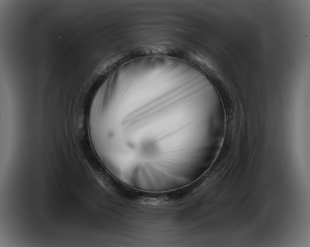 X0000082970548200703020236