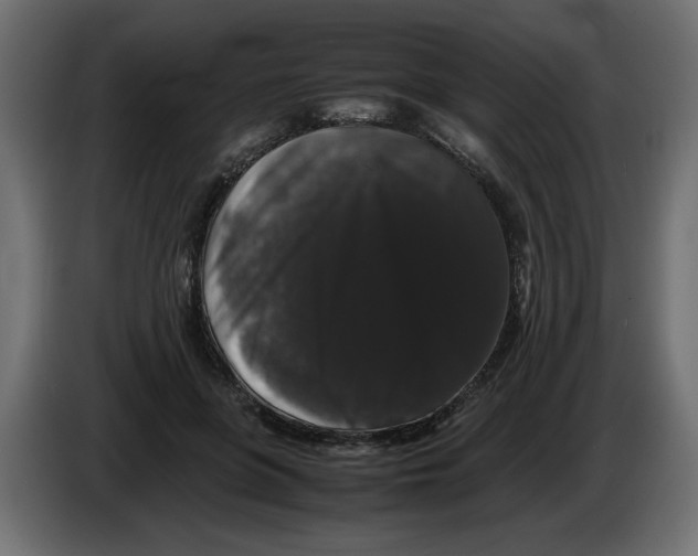 X0000082970551200703020237