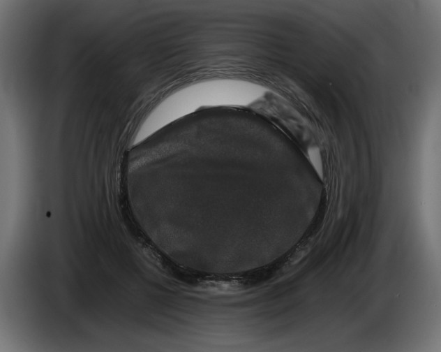 X0000082970552200703020237