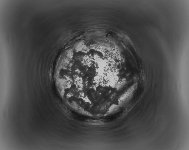 X0000082970553200703020237