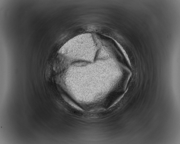 X0000082970554200703020237
