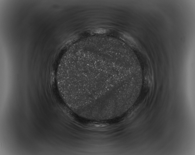 X0000082970555200703020237