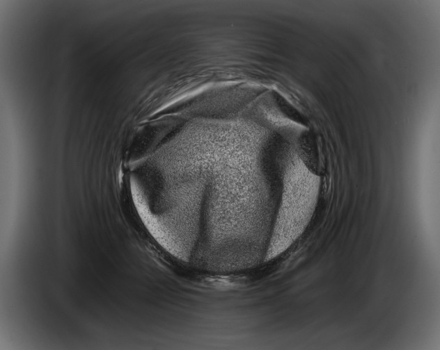 X0000082970558200703020237