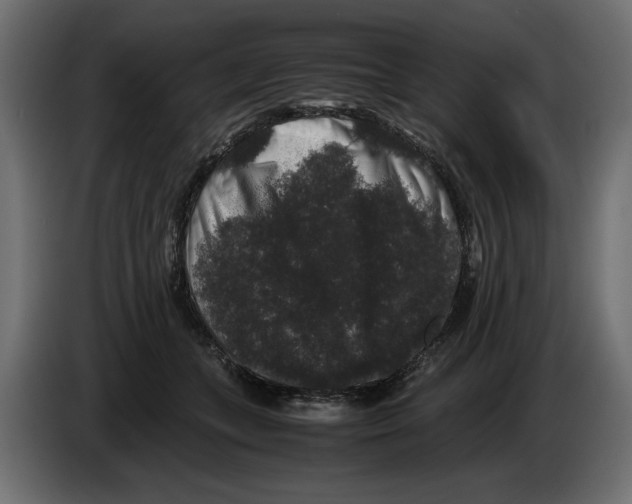 X0000082970559200703020237